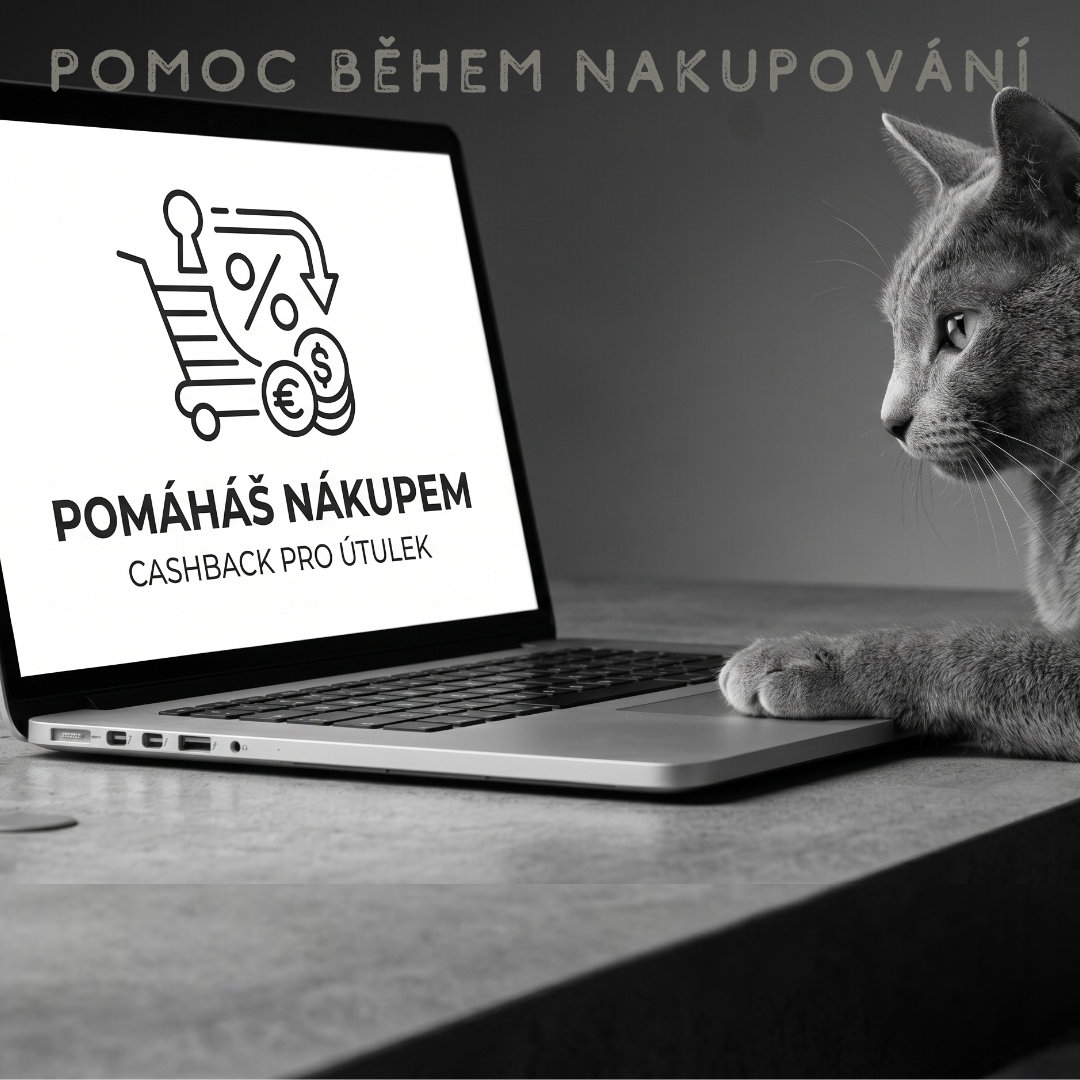 pomoc cashback